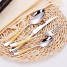 TD-2406 Starjewel cutlery set