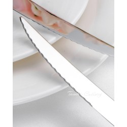 TD-2406 Starjewel cutlery set