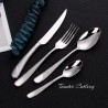 TD-2406 Starjewel cutlery set