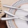 Europe representative cutlery set