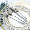 TD-1045B1 Thebe cutlery set