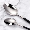TD-40451 Knight cutlery set with black painted handle