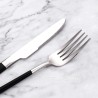 TD-40451 Knight cutlery set with black painted handle