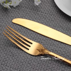 TD-2352 Hyperion cutlery set with hollow handle knife