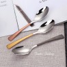 TD-1017C1 Callirrhoe cutlery set