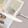 TD-3014 Doradus cutlery set