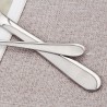 TD-2283B Delphinus cutlery set