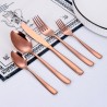 TD-4613 Circinus cutlery set