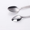 TD-4587B Chamaeleon cutlery set