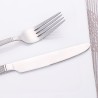 TD-4587B Chamaeleon cutlery set