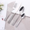 TD-4587B Chamaeleon cutlery set
