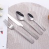 TD-4587B Chamaeleon cutlery set