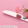TD-2227B Parallel cutlery set