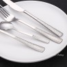 TD-4235 Centaurus cutlery set