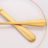 TD-42452 Atlas cutlery set