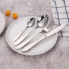TD-4229 Auriga cutlery set