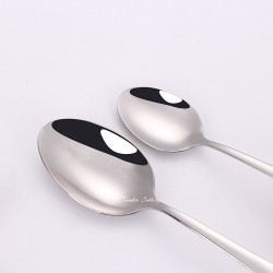 TD-4162 Aquila cutlery set