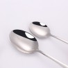 TD-4162 Aquila cutlery set
