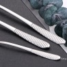 TD-2407 Antlia cutlery set
