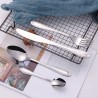 TD-2181 Andromeda cutlery set