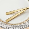 TD-42162 Capricornus cutlery set
