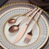 TD-42162 Capricornus cutlery set