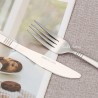 TD-4550C Equuleus cutlery set