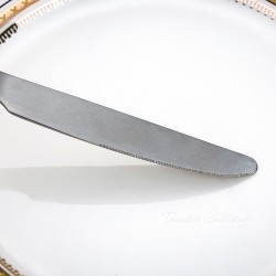 TD-24312 Themisto cutlery...