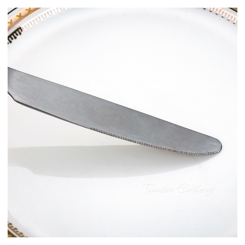 TD-24312 Themisto cutlery set-matt