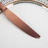 TD-24312 Themisto cutlery set-matt