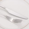 TD-1028B Epimetheus cutlery set