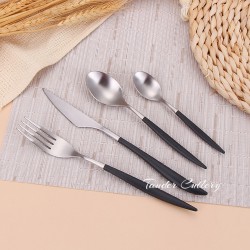 TD-6210 Leda Flatware set