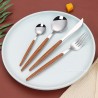 TD-6204 6205 Himalia Flatware set