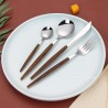 TD-6204 6205 Himalia Flatware set