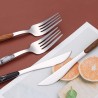 TD-6204 6205 Himalia Flatware set