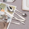 TD-2108 Vega Cutlery set