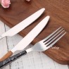 TD-6202 6203 Amalthea Flatware set