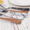 TD-6202 6203 Amalthea Flatware set