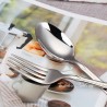 TD-2108 Vega Cutlery set