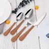 TD-6202 6203 Amalthea Flatware set