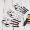 TD-6200 6201 Callisto Flatware set