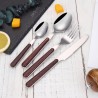 TD-6200 6201 Callisto Flatware set