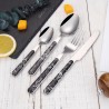 TD-6200 6201 Callisto Flatware set