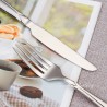 TD-2108 Vega Cutlery set