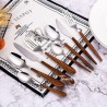 TD-6164 6165 Europa Flatware set