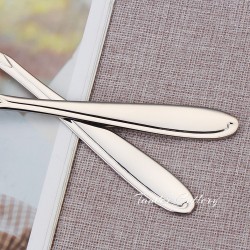 TD-2108 Vega Cutlery set