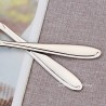 TD-2108 Vega Cutlery set