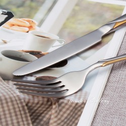 TD-2108 Vega Cutlery set