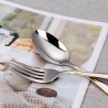 TD-2108 Vega Cutlery set