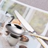 TD-2108 Vega Cutlery set